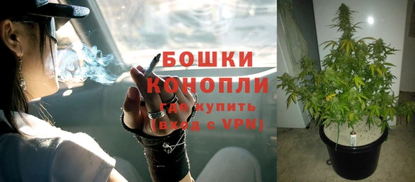 трава Заволжск