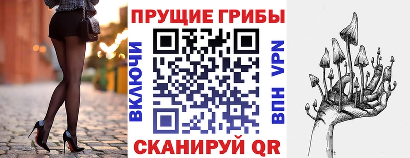 Галлюциногенные грибы Magic Shrooms  хочу наркоту  Болохово 